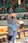 Sumo - The World Games 2017 in Wroclaw