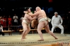 Sumo - The World Games 2017 in Wroclaw
